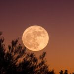 Una noche con la Luna: el Planetario de La Plata invita a una observación especial y gratuita