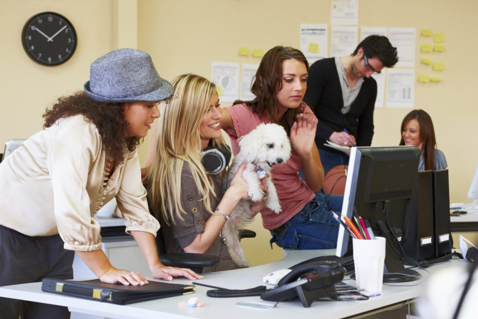 Día mundial de llevar el perro al trabajo: ¿cuáles son sus beneficios?