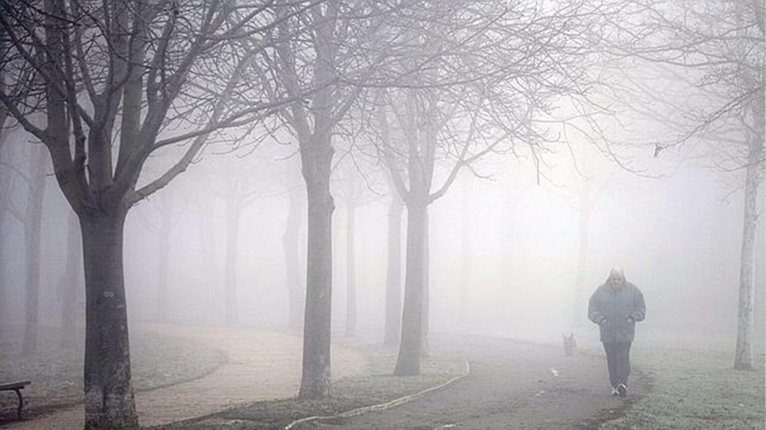 Emiten alerta violeta por niebla y brindan recomendaciones a los conductores