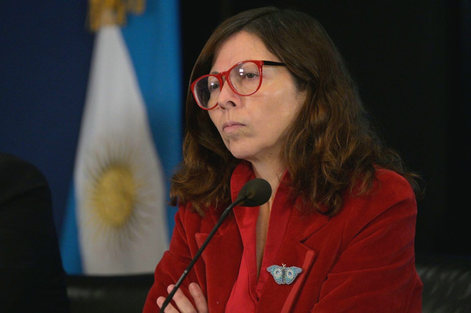 La ministra de economía silvina batakis puso a disposición su renuncia