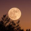 luna-llena