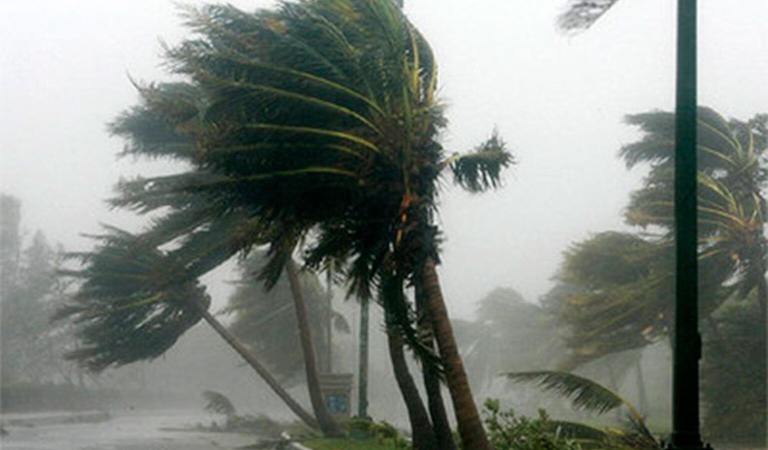 Alerta amarillo por vientos fuertes para varios distritos bonaerenses