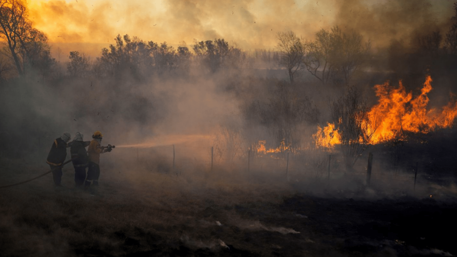 ¿cómo nos afecta la invasión de humo por los incendios del delta?