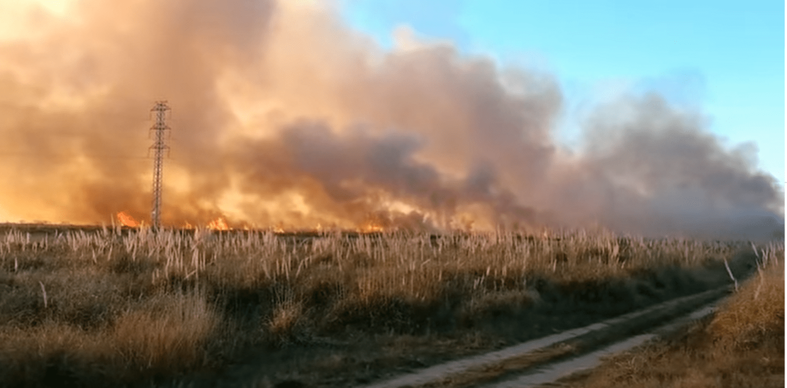 Villa gesell: cinco dotaciones de bomberos combatieron un tremendo incendio forestal cerca de ruta 11