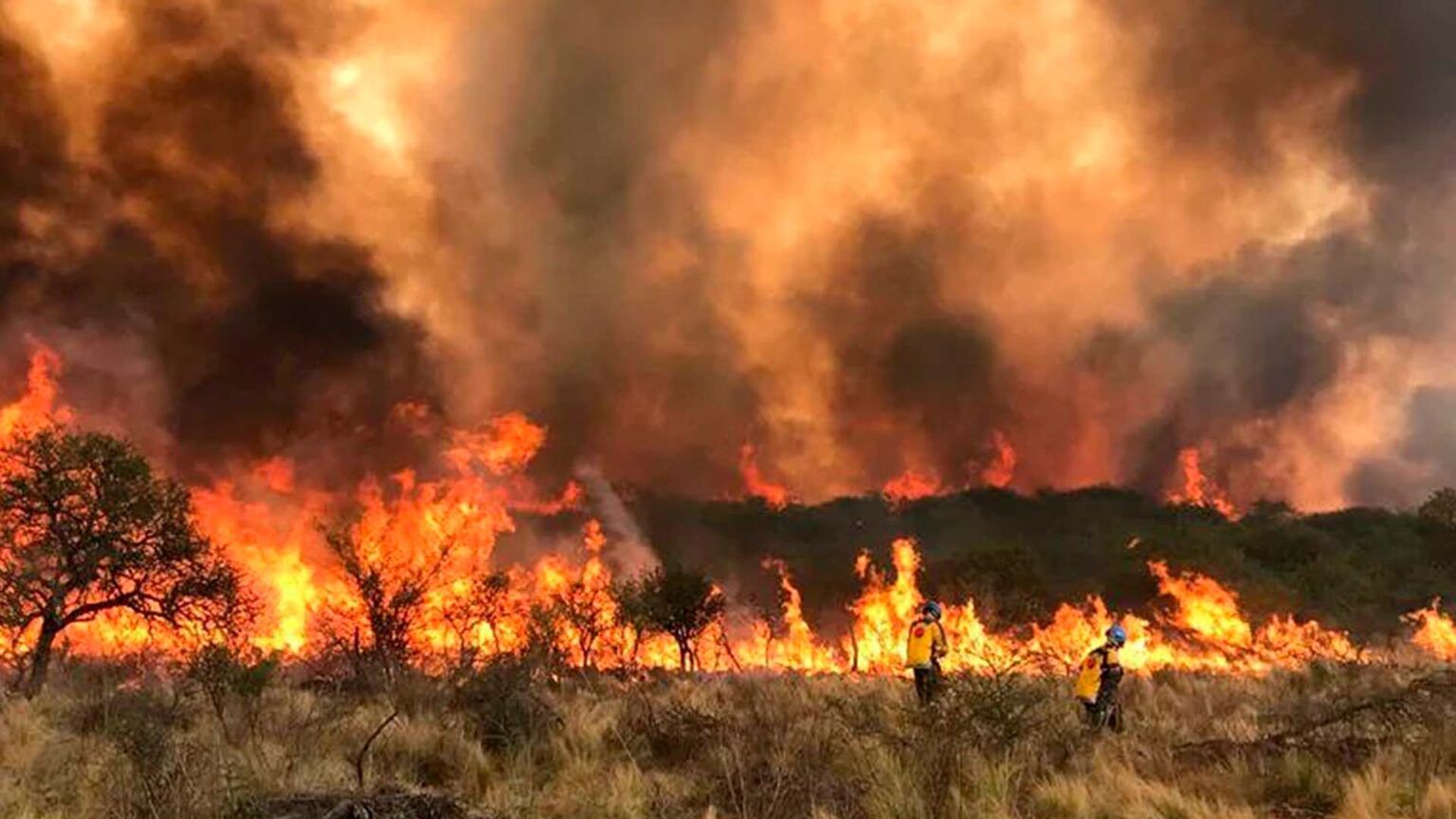Trece provincias son afectadas por graves incendios forestales