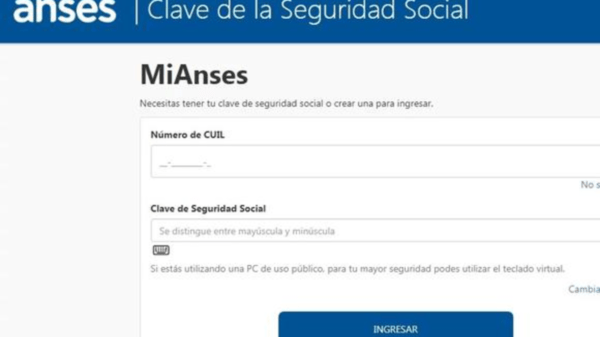 Mi Anses: ¿Qué trámites y consultas puedo hacer con Clave de Seguridad Social?