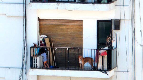 Bebé en balcón
