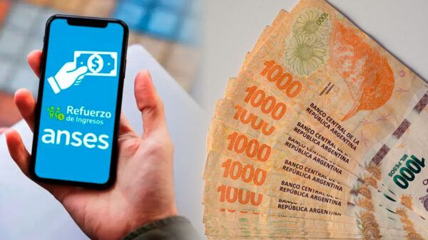 Refuerzo de ingresos ANSES