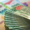 Anses refuerzo $100.000