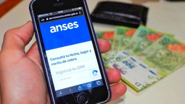 bono-anses-refuerzo-ingresos-ife