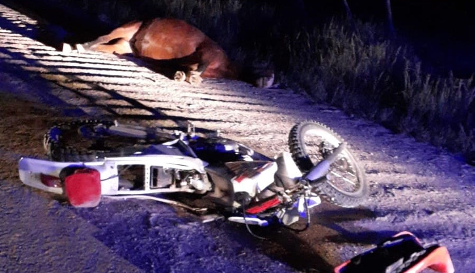 Fatal accidente en balcarce: un hombre murió al chocar su moto contra un caballo