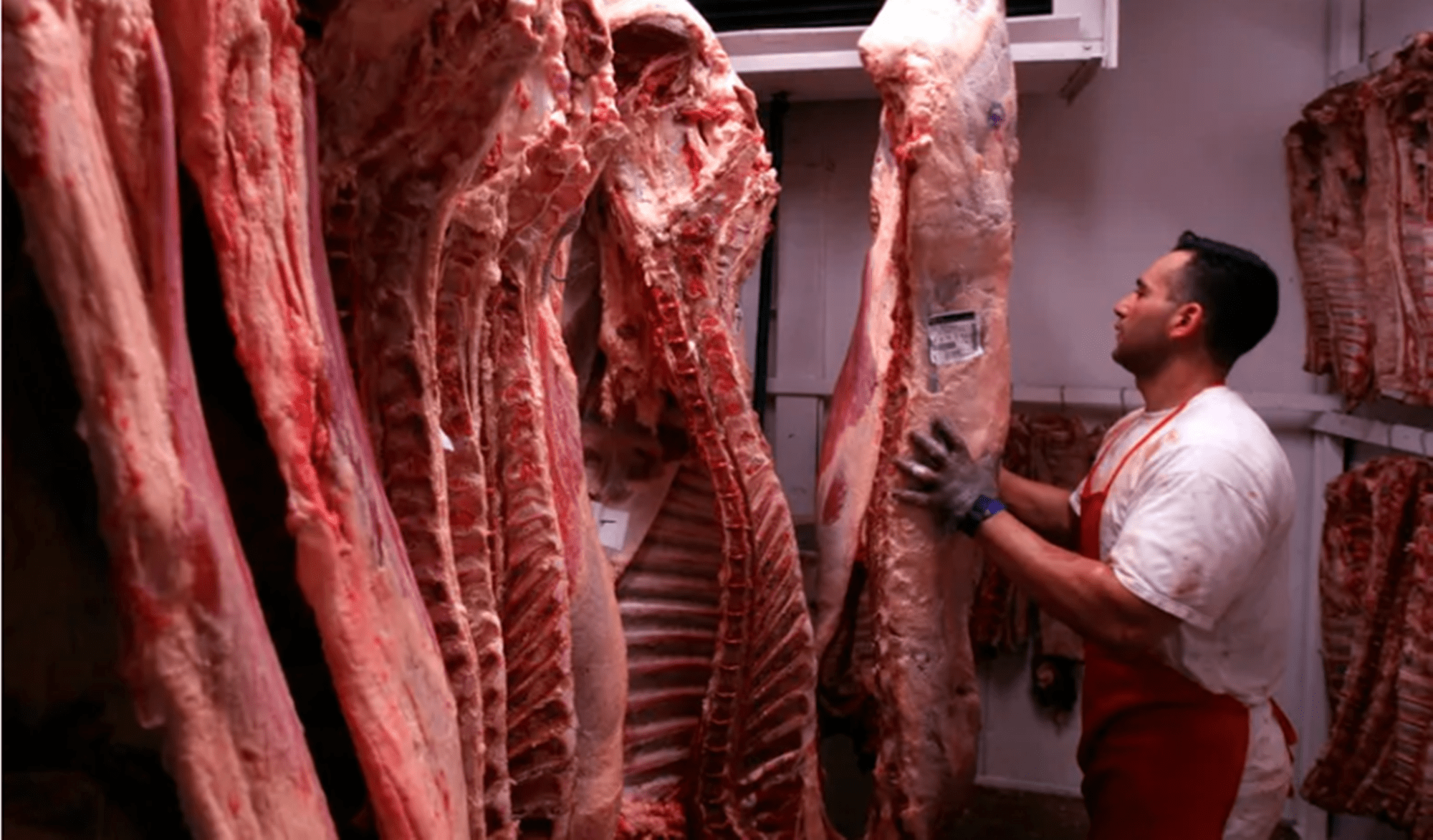 Adiós a la media res: prorrogan hasta enero el nuevo sistema de venta de carne