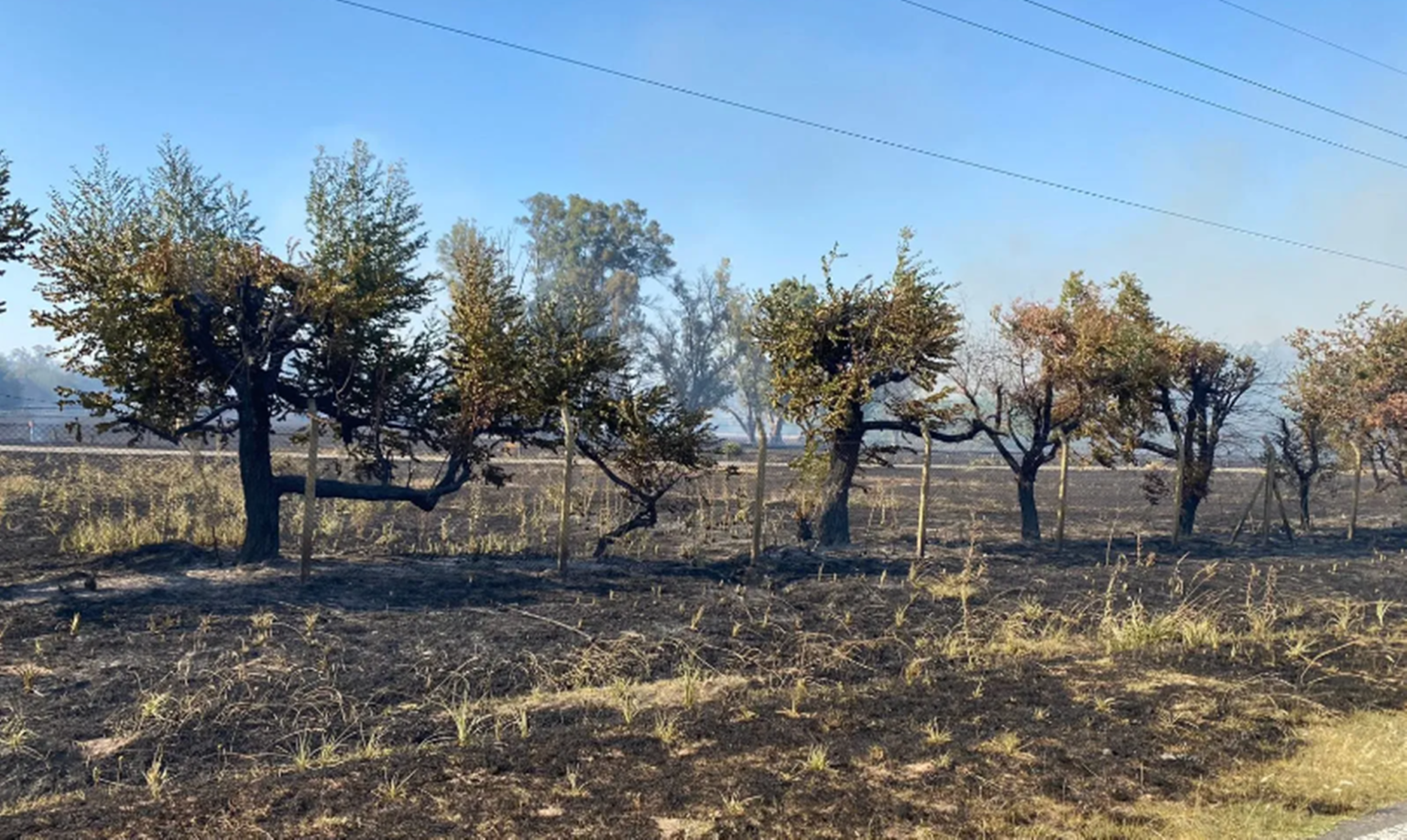 Delitos ambientales: el gobierno creó una nueva área para tratarlos