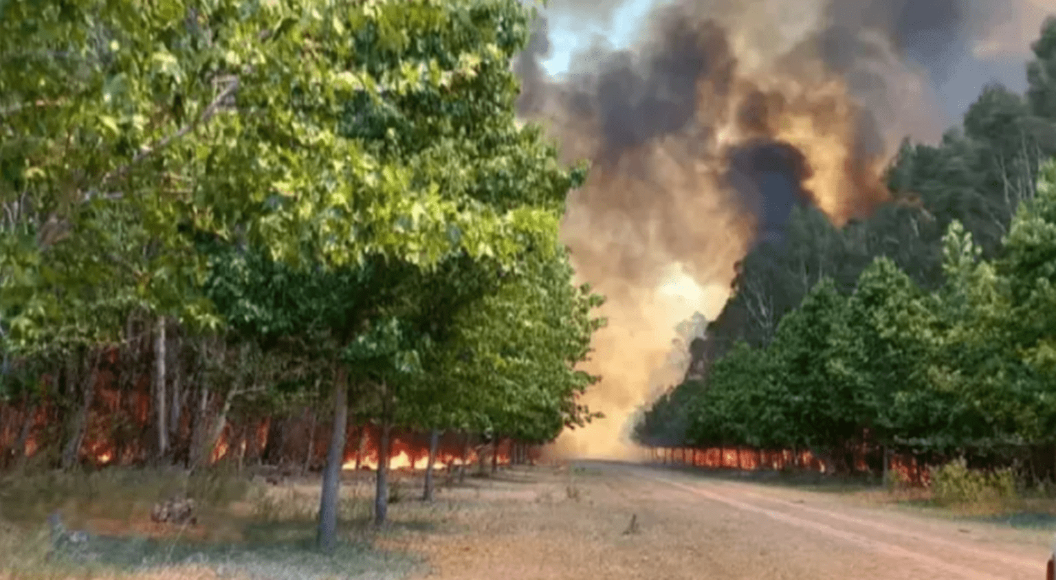 Un voraz incendio arrasó con grandes extensiones de campos en luján