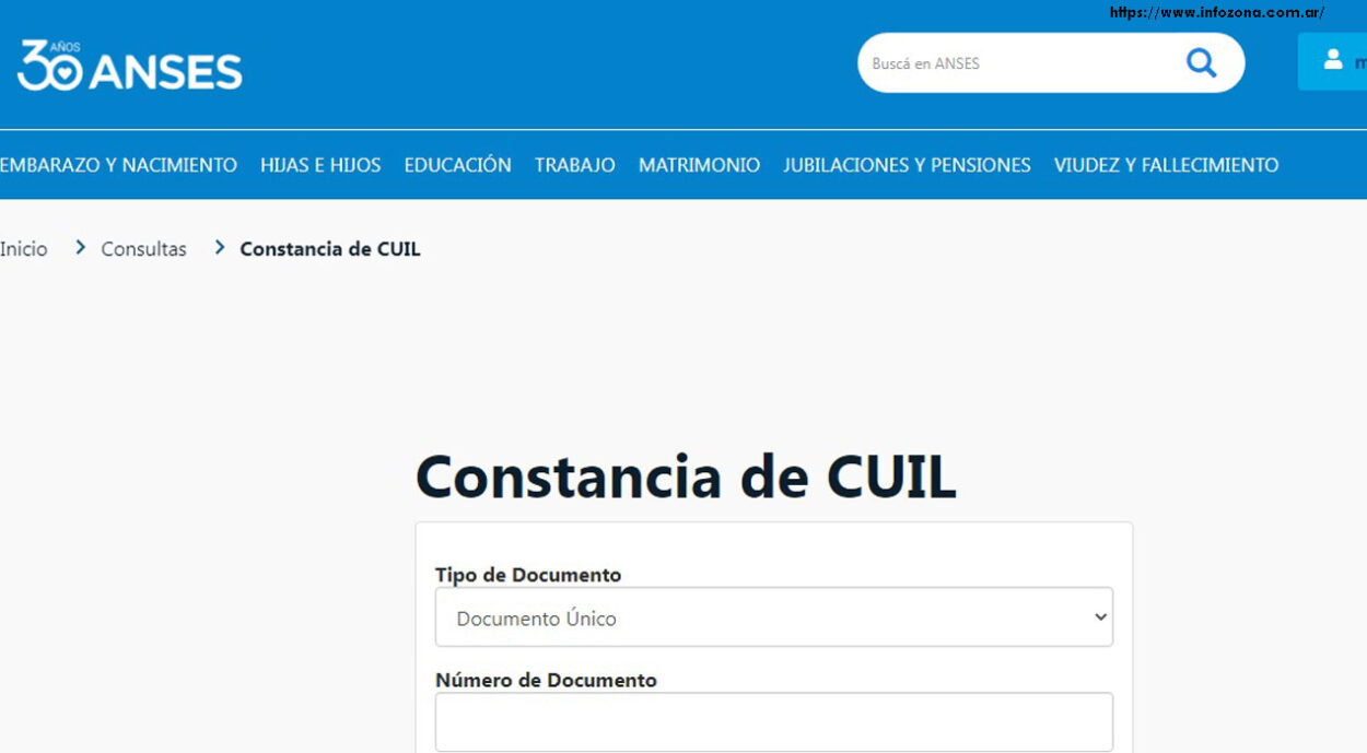 pasos para Como sacar el CUIL por primera vez