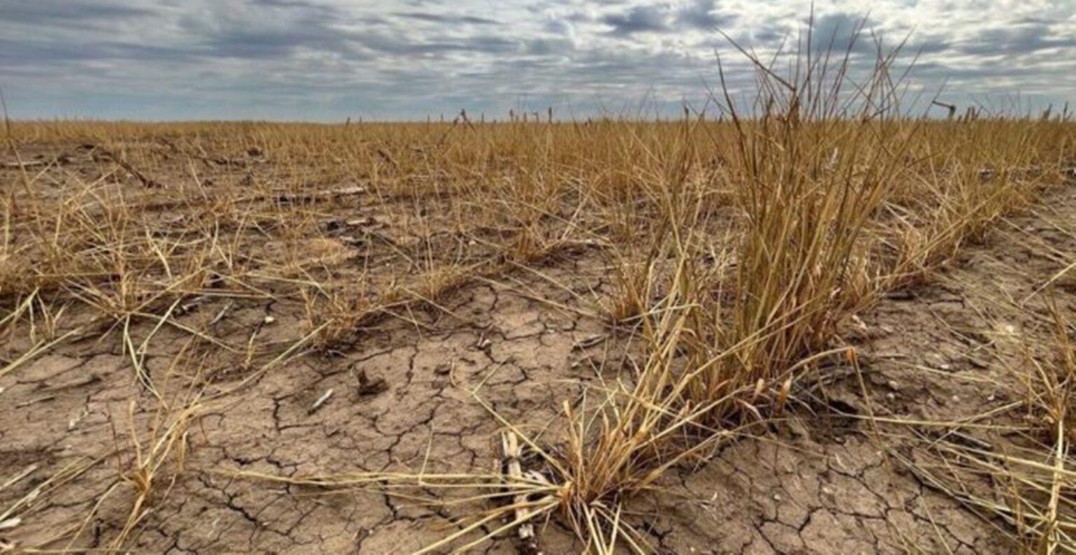 El gobierno le dará una respuesta al campo por el "tema sequía" el primero de febrero