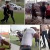 Pelea gitanos