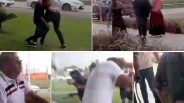 Pelea gitanos