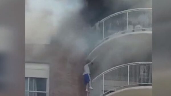 Nene en un incendio