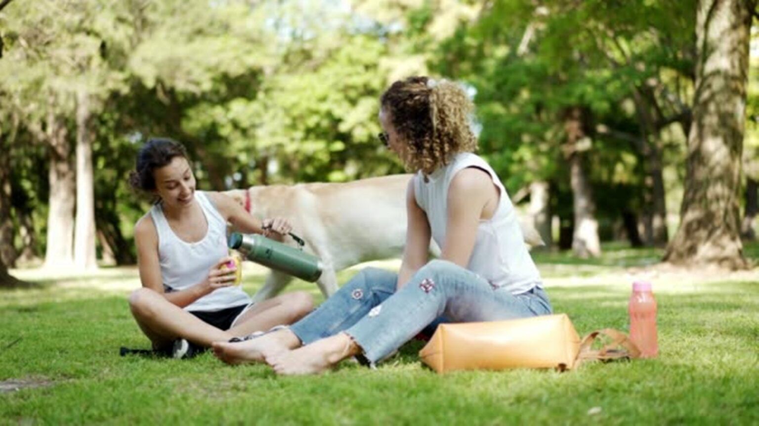 Ultimo viernes del 2024 con temperaturas agradables: ¿cómo estará el 
