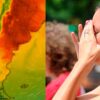 Alerta por ola de calor provincia argentina