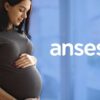 Consultar Asignación por Embarazo de ANSES