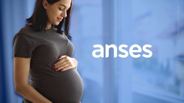 Consultar Asignación por Embarazo de ANSES