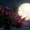 calendario-lunar-enero-2023