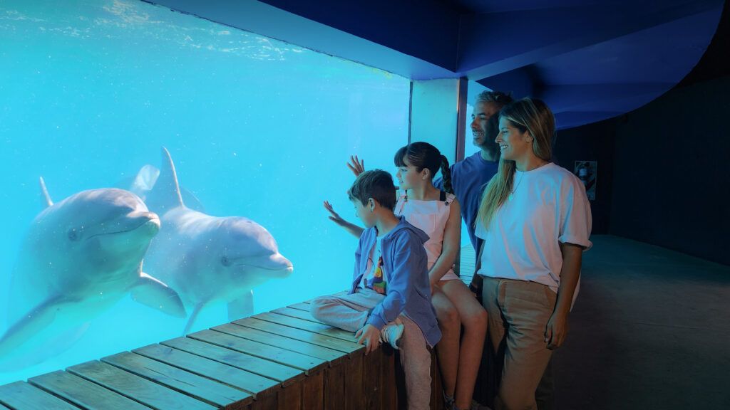 Cuánto sale la entrada a Mundo Marino 2023