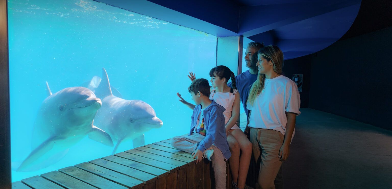 Cuánto sale la entrada a mundo marino