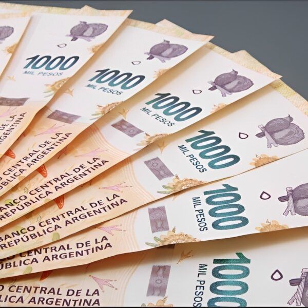 aumento ANSES