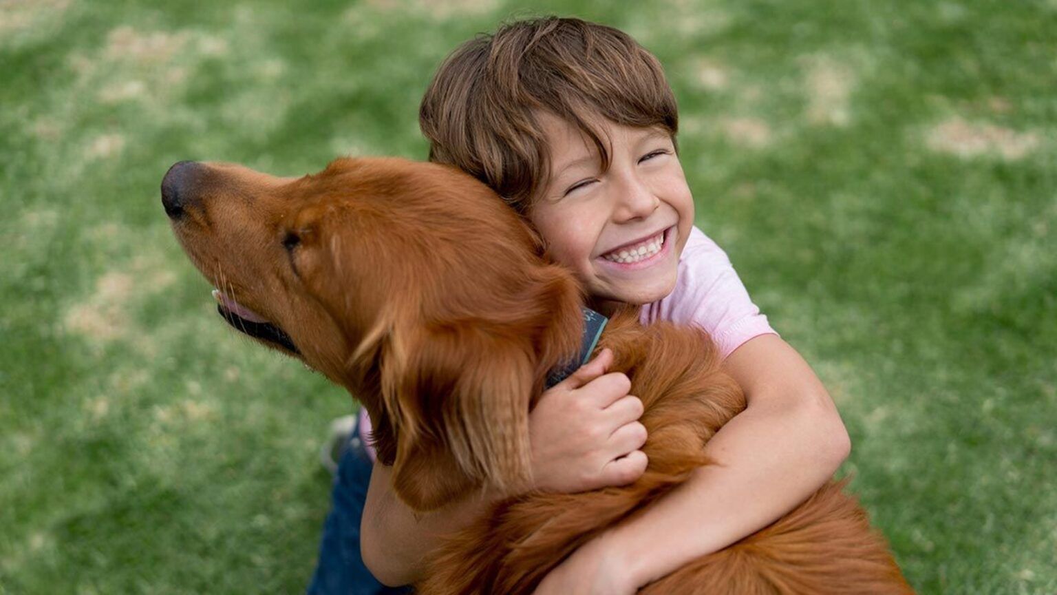 Se aprobó la pirotecnia cero: para que nadie sufra mientras otros festejan
