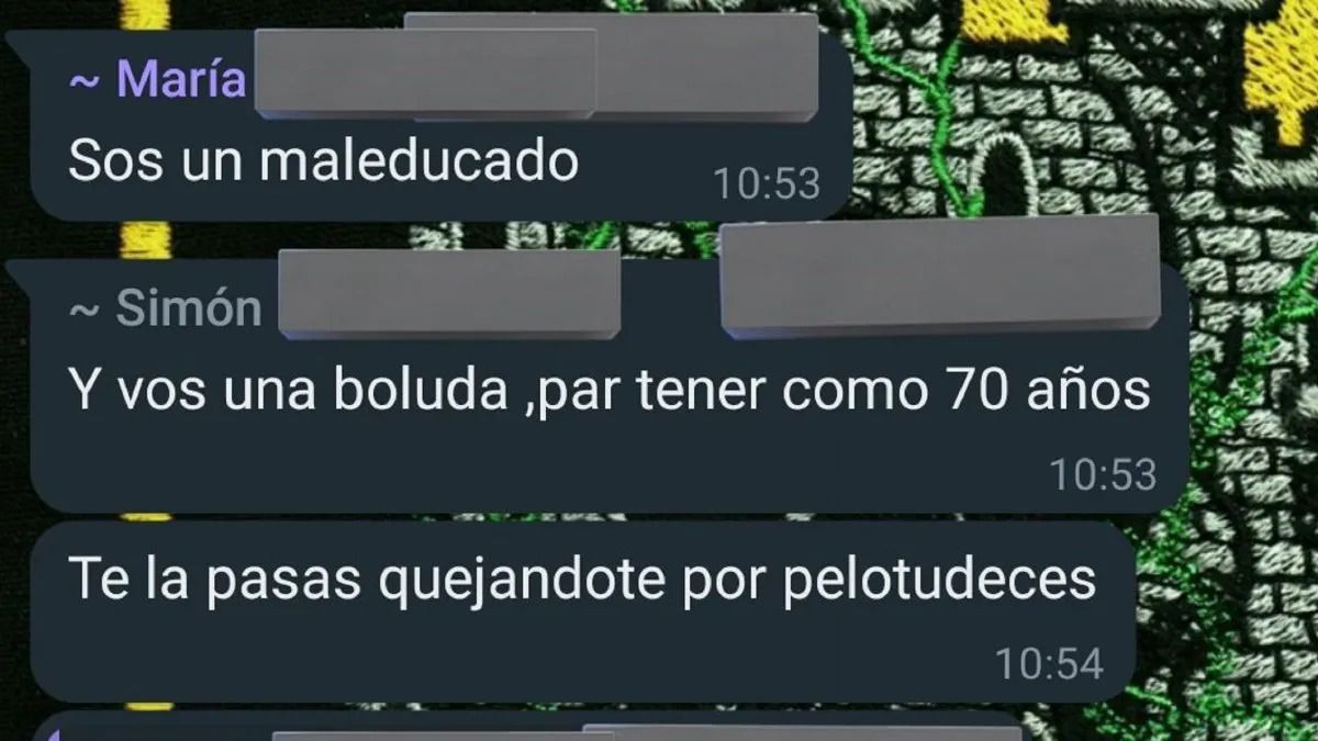 Pelea chat de vecinos