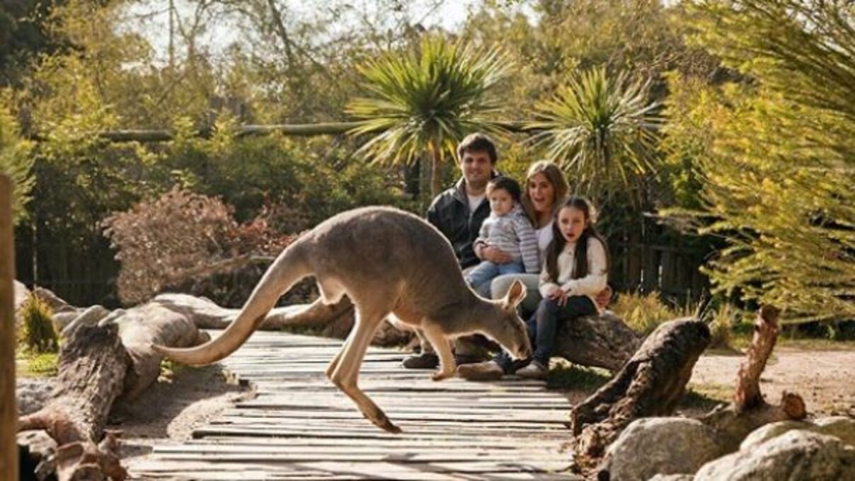 Temaiken-bioparque-precios