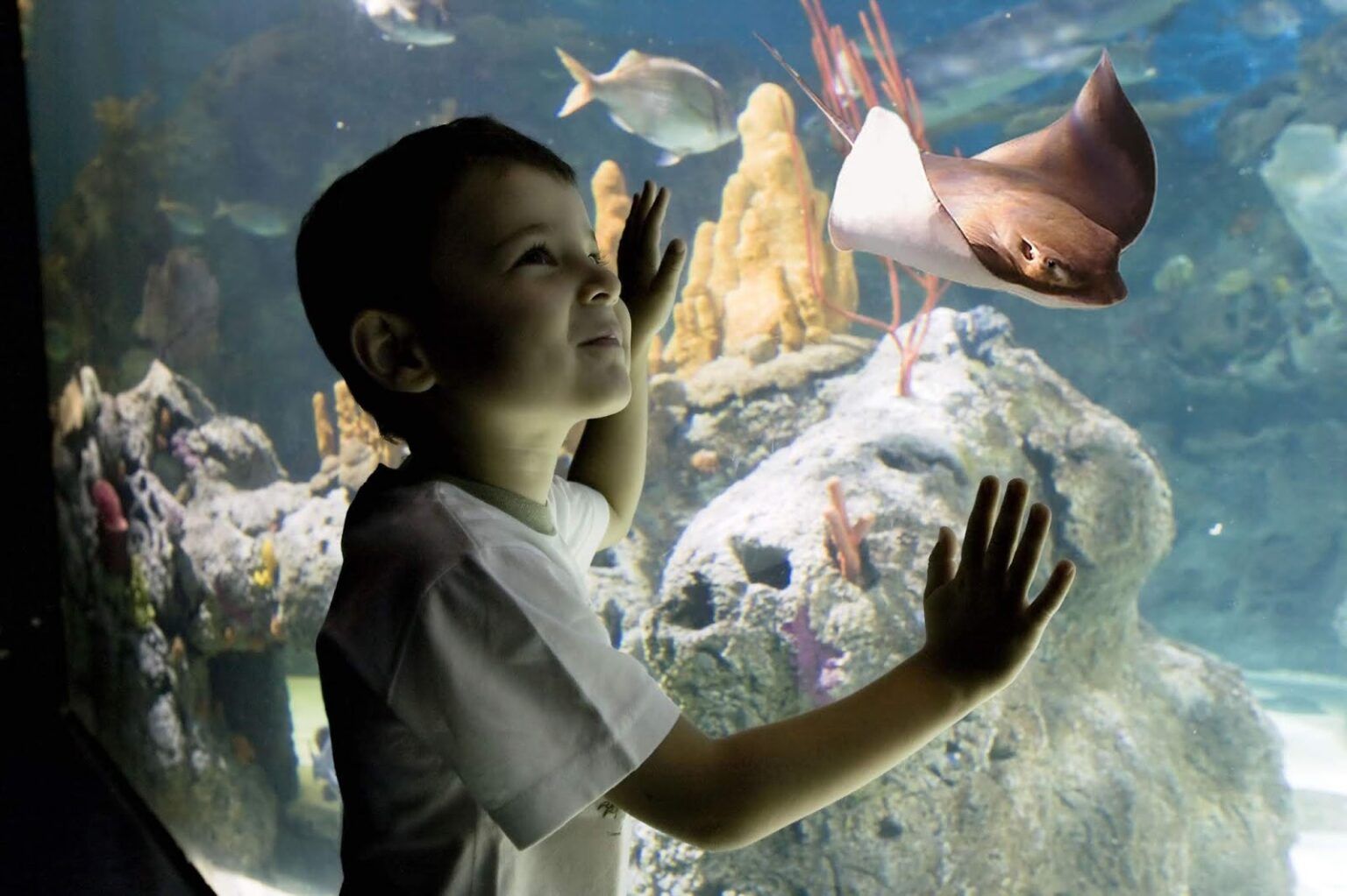 Cuánto sale la entrada a temaiken precios 2023