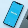 Anses fechas de cobro