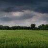 lluvia-campo-provincia-de-buenos-aires
