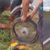 Arreglo de rueda con pasto