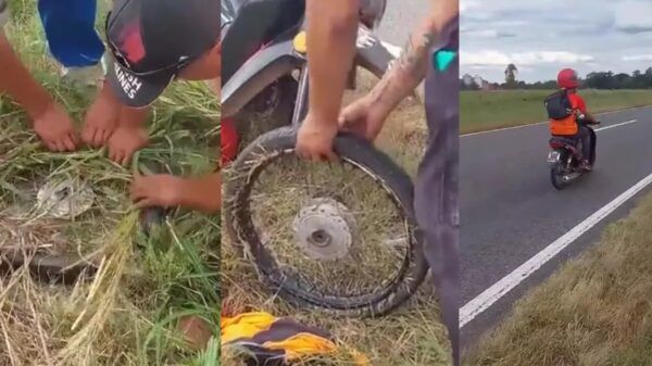 Arreglo de rueda con pasto