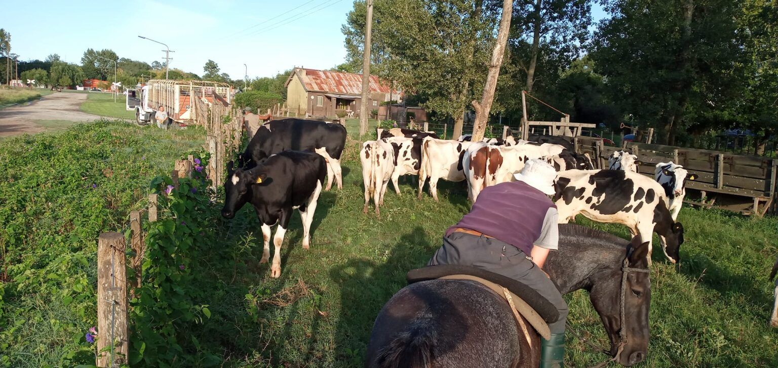 Por la crisis, cerraron dos tambos familiares de castelli y dolores