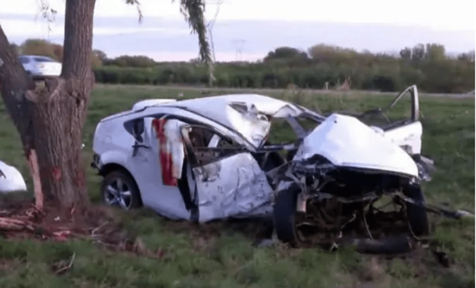Trágico accidente en ruta 9: un muerto al chocar un auto contra un árbol