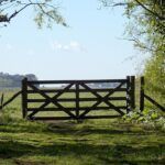 Ley de tierras en provincia de buenos aires: ¿cuál es el nuevo límite que buscan imponer a la venta de campos a extranjeros?