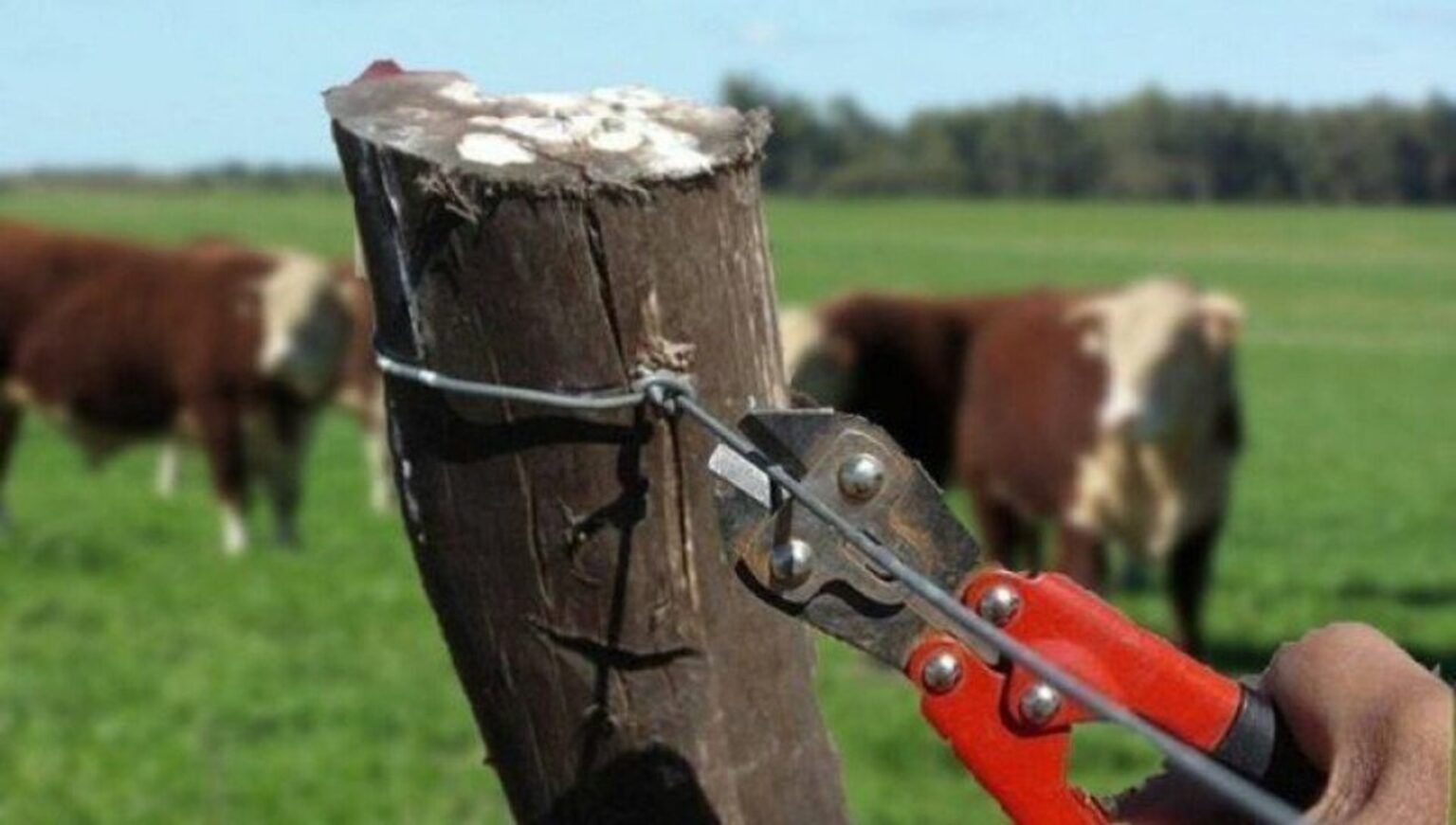 Lezama: preocupación por una serie de robos cometidos en la zona rural del distrito