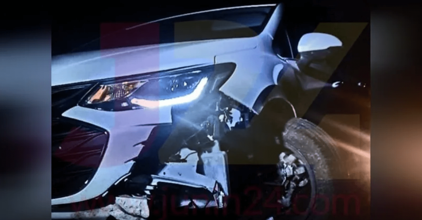 ¡insólito! Cayó un ternero sobre un auto en plena ruta 7