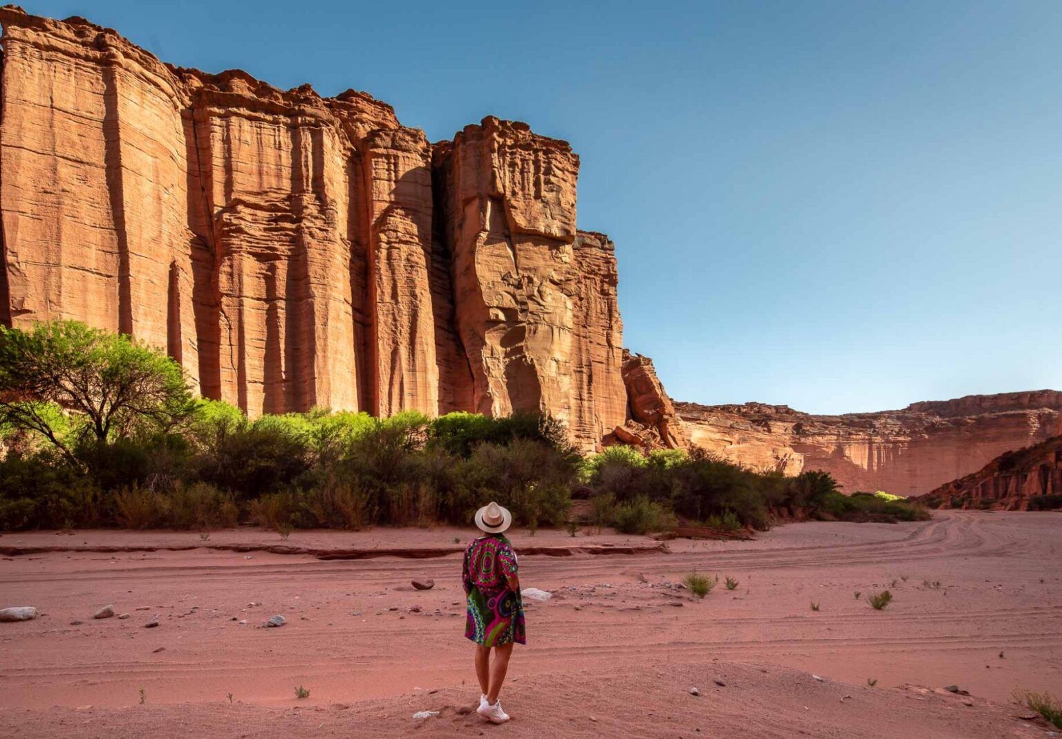 El banco nación lanzó El banco nación lanzó