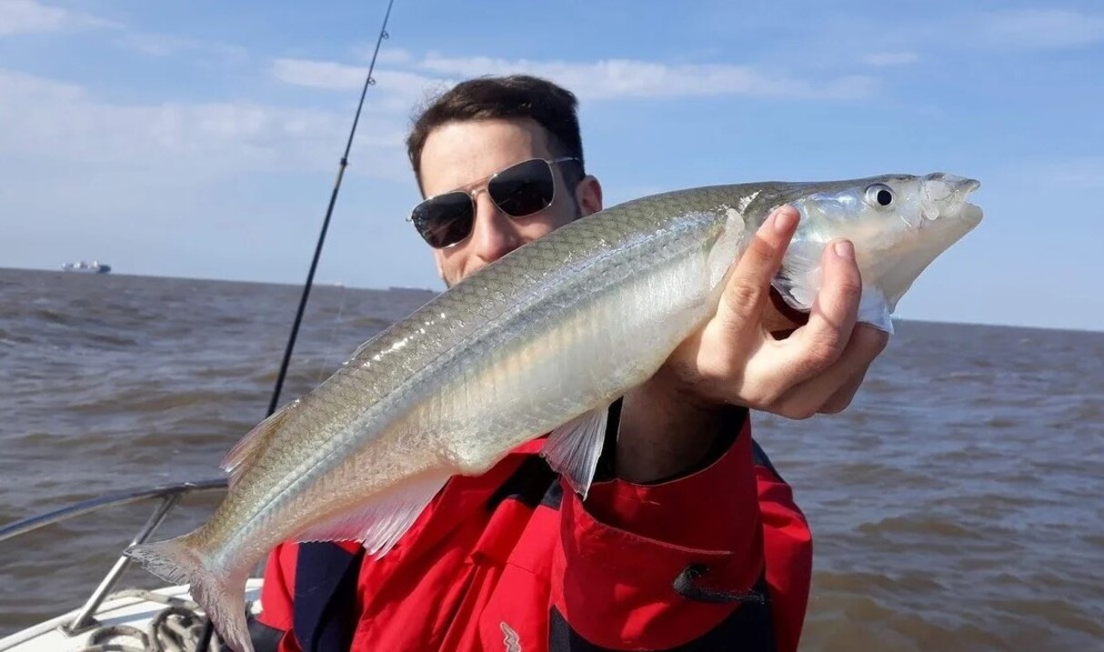 pesca-provincia-buenos-aires-mejores-lugares-pescar