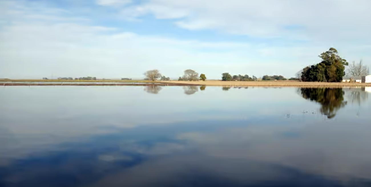 Cortan tramo de la ruta 226 por desborde de arroyos