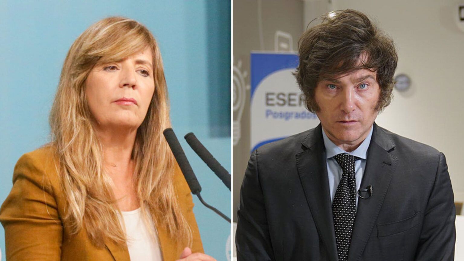 El gobierno señaló a milei como el responsable de los saqueos: ¿qué dijeron desde presidencia?