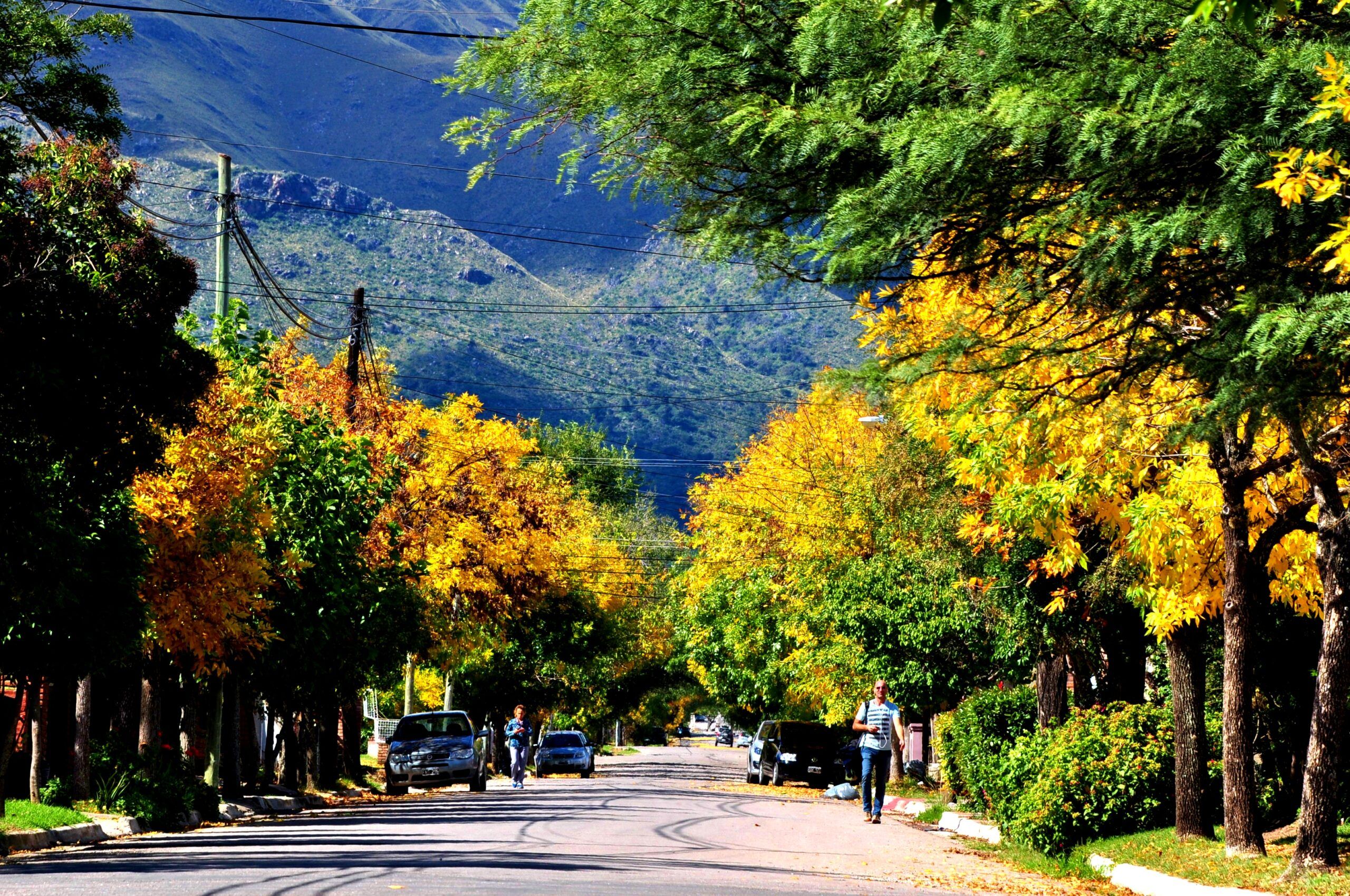 Merlo, San Luis