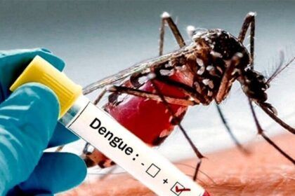 Vacuna contra el dengue